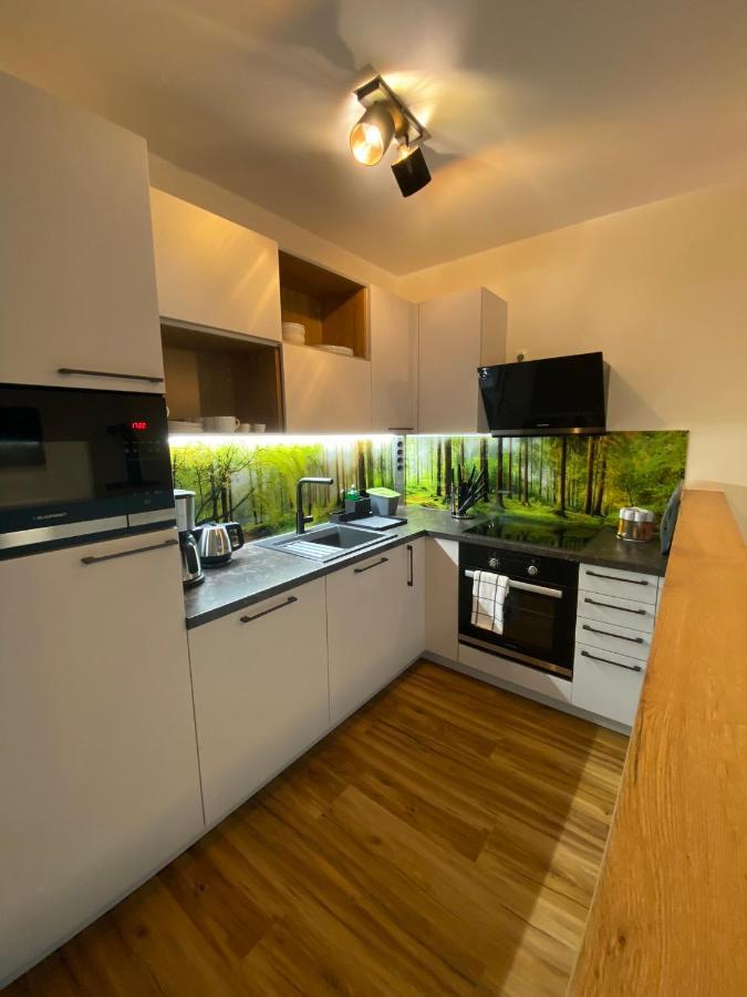 Barrierefreies Ferienapartment A2 Villa Wilisch 55Qm Amtsberg エクステリア 写真